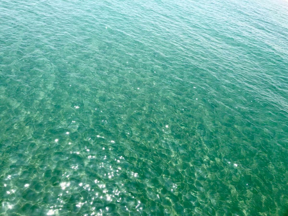 Barcaresa-Maisonnette Vue Mer Pieds Dans L'Eau Wifi Leucate Ngoại thất bức ảnh